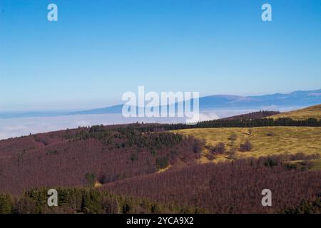 Ein schöner und farbenfroher Wald von der Spitze des Berges aus gesehen Stockfoto