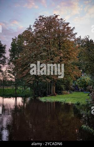 Eine friedliche Herbstszene mit einem großen Baum, einer Schaukel an seinen Ästen und einem Teich, der die warmen Farben der untergehenden Sonne reflektiert. Stockfoto