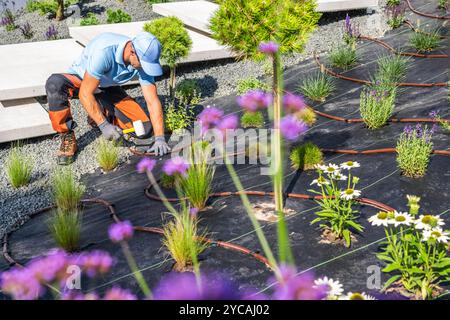 Ein Gärtner pflanzt verschiedene Blumen und Kräuter in einem wunderschön gestalteten Garten und verwaltet das Bewässerungssystem unter sonnigem Himmel. Stockfoto