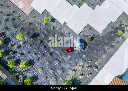 Ein Gärtner erstellt sorgfältig ein Bewässerungssystem, während er an einem sorgfältig gestalteten Garten arbeitet, der verschiedene Pflanzen und Oberflächen unter hellem Licht enthält Stockfoto