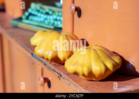 Auf einem rustikalen Holzregal befindet sich eine Kollektion hellgelber Kürbis, die die Schönheit natürlicher Lebensmittel und Zutaten zeigt Stockfoto