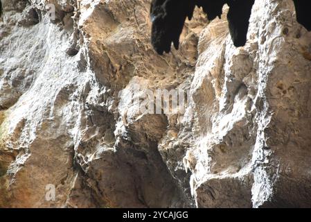 Stalagmiten und Stalaktiten mit Sonnenlicht durch das Höhlenloch in der Khao Luang Höhle Reiseort auf Thailand Stockfoto