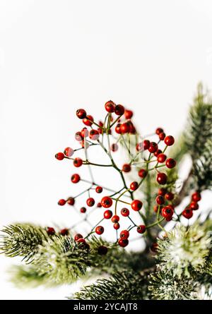 Minimalistische Weihnachtskomposition mit Tannenzweigen und roten Beeren in Vase auf weißem Hintergrund. Vorderansicht. Kopierbereich Stockfoto