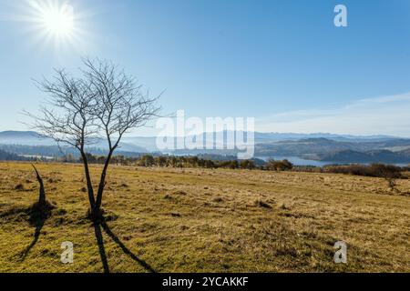 Silhouette eines Baumes ohne Blätter vor dem Hintergrund einer herbstlichen Berglandschaft. Blick auf den Czorsztyńskie-See und die Tatra. Czorsz Stockfoto