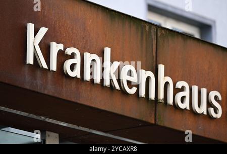 PRODUKTION - 22. Oktober 2024, Hessen, Frankfurt/Main: Das Wort „Krankenhaus“ ist auf rostigen Eisenplatten oberhalb des Krankenhauseingangs im Stadtteil Sachsenhausen zu lesen. Foto: Arne Dedert/dpa Stockfoto