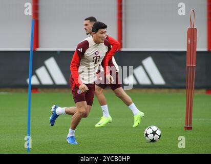 München, Deutschland, 22. Oktober 2024: Fussball, Herren, Saison 2024/2025, FC Bayern München, Säbener Straße, Trainingsgelände, Abschlusstraining, Champions League Minjae Kim, Min-jae Kim (FC Bayern München) mit Ball Stockfoto