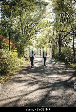 Montreal, Quebec, Kanada. Oktober 2024. Ein Blick auf Montreal City, Kanada im Herbst. Der Himmel ist klar und es ist ein sonniger Tag. (Kreditbild: © Serkan Senturk/ZUMA Press Wire) NUR REDAKTIONELLE VERWENDUNG! Nicht für kommerzielle ZWECKE! Stockfoto