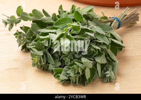 Bouquet frisch gepflückter Oregano-Zweige aus nächster Nähe auf hölzernem Hintergrund Stockfoto