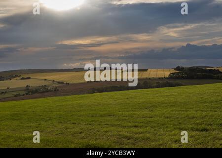 Ackerland im ländlichen Sussex an einem sonnigen Sommerabend Stockfoto