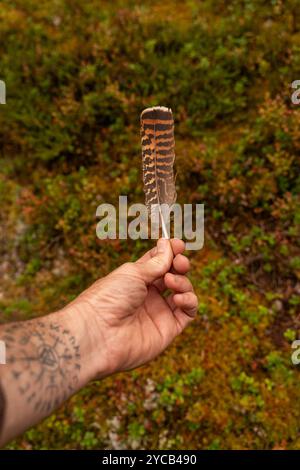 Eine Nahaufnahme einer abgeschnittenen, nicht erkennbaren Hand mit einem Tattoo, die eine gemusterte Vogelfeder vor dem lebhaften Hintergrund eines herbstlichen Schwedischen hält Stockfoto