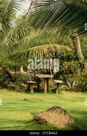 Eine ruhige Gartenanlage mit rustikalen Holzbänken, umgeben von üppigen Palmenwedeln und grünem Laub, ideal zum Entspannen und Besinnen Stockfoto