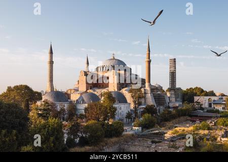 Warmes Abendlicht taucht die historische Hagia Sophia in Istanbul auf, während die hoch aufragenden Vögel die ruhige Szene unterstreichen. Dieses Wahrzeichen zeigt byzantinische AR Stockfoto