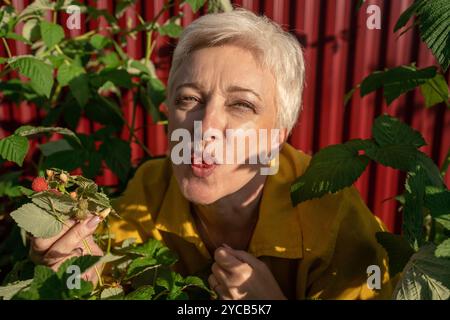 Eine verspielte reife Frau mit kurzen weißen Haaren küsst eine Himbeere, während sie von üppigen grünen Blättern und einem roten Hintergrund umgeben ist Stockfoto
