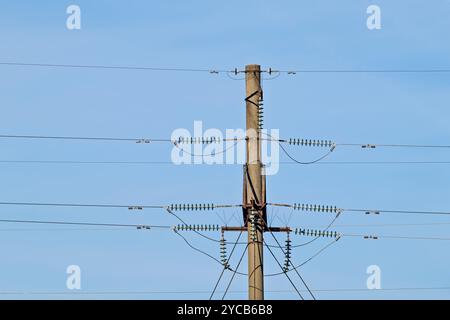 Städtischer Versorgungsmast mit verworrenen Stromleitungen vor klarem blauem Himmel. Ideal für Infrastruktur-, Energie- oder Stadtlandprojekte. Stockfoto