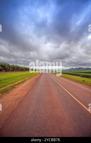 Gerade Straße, flankiert von Feldern unter bewölktem Himmel in Lesotho. Stockfoto