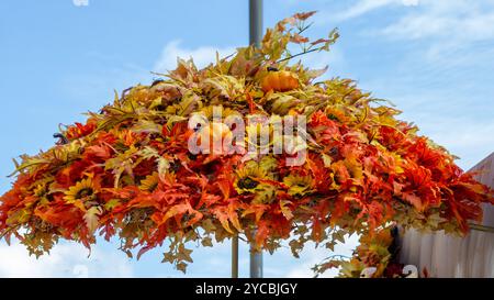 Herbsterntevereinbarung mit Kürbissen und Sonnenblumen Stockfoto