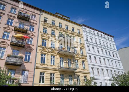 Altbauten, Oderberger Straße, Prenzlauer Berg, Pankow, Berlin, Deutschland *** Altbauten, Oderberger Straße, Prenzlauer Berg, Pankow, Berlin, Deutschland Stockfoto