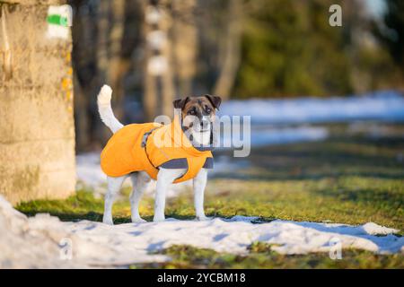 hundebett martin rtter Hundebett KUDDE Kunstleder  Martin Rtter SHOP