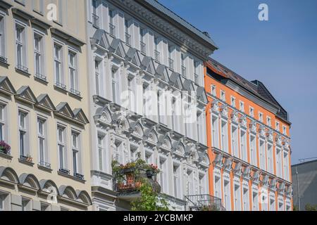 Altbauten, Oderberger Straße, Prenzlauer Berg, Pankow, Berlin, Deutschland *** Altbauten, Oderberger Straße, Prenzlauer Berg, Pankow, Berlin, Deutschland Stockfoto