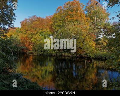 Der Fluss North Esk bei Edzell schlängelt sich langsam durch das Tal, wobei die Blätter der Bäume saisonal Golden werden. Stockfoto