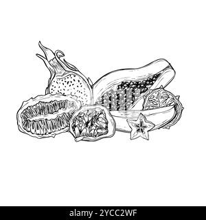 Aromatische tropische Hälften und Scheiben der Fruchtmischung Hand gezeichnet schwarz-weiße Vektor-Illustration. Papaya, Kiwano, Karambola, Maracuja, Pitahaya Stock Vektor