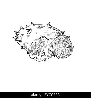 Ganze und Hälften gespitzte Kiwano-Frucht-Vektor isolierte Illustration in schwarz-weiß handgezeichneter Grafik. Exotische tropische Horngurkenpflanzengravi Stock Vektor