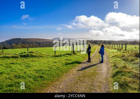 Zwei Frauen bewundern den Blick über die South Downs in der herrlichen Herbstsonne in der Nähe von Glatting Beacon in der Gegend von Bignor und Sutton, West Sussex, England. Stockfoto