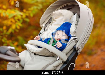 Kleiner Junge im Kinderwagen. Kind im Kinderwagen im Winter. Warme Kleidung für aktive Spaziergänge mit Ihrem Baby in der kalten Jahreszeit. Süßes kleines Kind in Strickmütze und Jacke Stockfoto