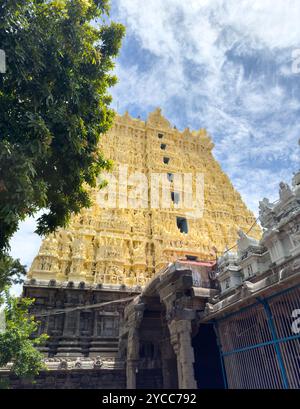 Torturm des Thanumalayan Tempels, auch Sthanumalayan Tempel genannt, befindet sich in Suchindram im Bezirk Kanyakumari von Tamil Nadu, Indien. Stockfoto