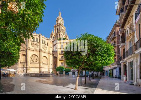 Kathedrale von Santa Maria, Murcia, autonome Gemeinde von Murcia, Spanien Stockfoto