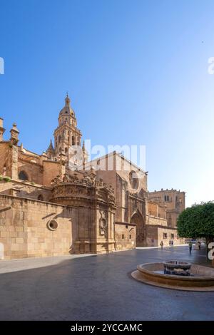 Kathedrale von Santa Maria, Murcia, autonome Gemeinde von Murcia, Spanien Stockfoto