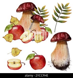 Herbstset. Stachelpilze mit roten Äpfeln. Aquarellkomposition auf weißem Hintergrund. Herbsternte Stockfoto