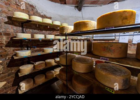 Käse im Reifkeller auf vertrauter Industrie auf dem Land des Bundesstaates Minas Gerais, Brasilien. Selektiver Fokus Stockfoto