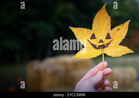 Die Hand hält ein gelbes flüssiges Blatt mit der Zeichnung eines halloween Kürbisgesichts bei Sonnenuntergang. Herbsthintergrund mit Kopierraum. Stockfoto