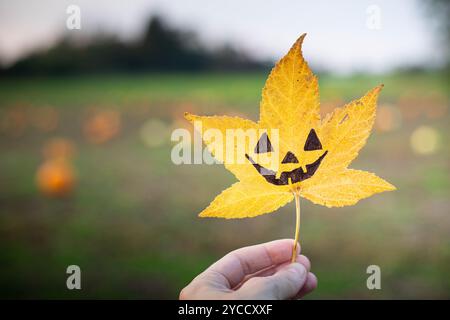 Die Hand hält ein gelbes flüssiges Blatt mit der Zeichnung eines halloween Kürbisgesichts bei Sonnenuntergang. Herbsthintergrund mit Kopierraum. Stockfoto