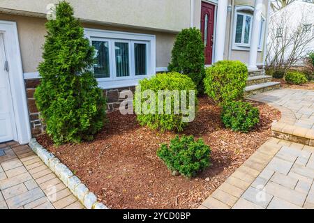 Grüne Sträucher im Landschaftsgarten in der Nähe des Eingangs der modernen Villa mit gepflastertem Gang im Frühjahr. New Jersey. USA. Stockfoto