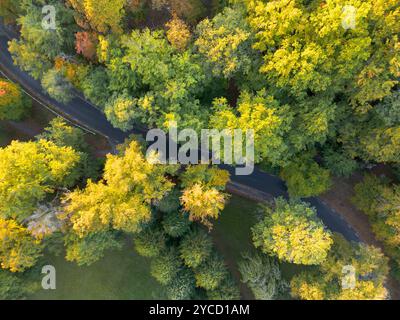 Aus der Vogelperspektive einer gewundenen, einspurigen, asphaltierten Waldstraße, gesäumt von herbstfarbenen Laubbäumen von oben in grüner Umgebung Stockfoto