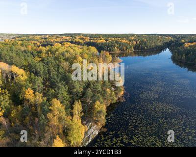 Luftaufnahme der herbstlichen Waldlandschaft mit gelben Laubbäumen an einem blauen ruhigen See in Schweden an einem klaren Herbsttag Stockfoto
