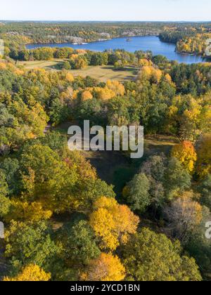 Luftaufnahme des gelben Herbstblattes in Bäumen des Naturschutzgebiets Hellasgården Nackareservatet in Schweden Stockfoto