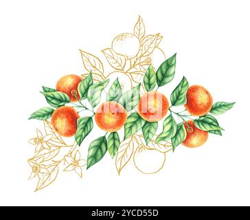 Botanische Aquarellillustration mit handgezeichneten Mandarinen Stockfoto