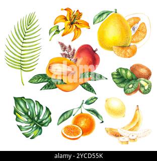 Aquarell handgezeichnete botanische Illustrationen Stockfoto