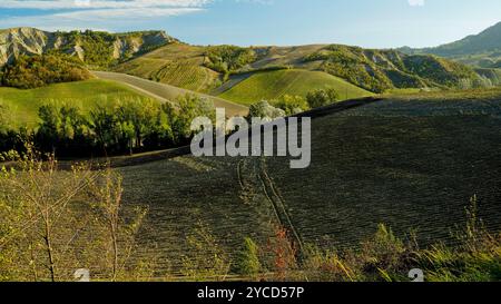 Der Park der Emilian-Schluchten mit seinen besonderen Felsformationen liegt zwischen den Provinzen Bologna und Forlì Cesena, Emilia Romagna, Italien Stockfoto