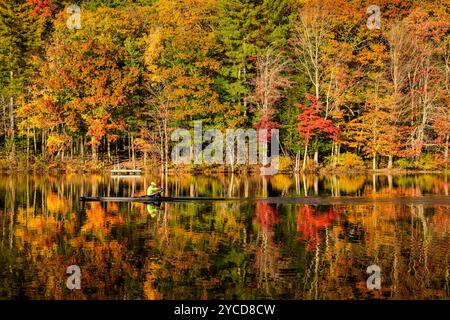 Camden, Maine, USA. Oktober 2024. Ein Mann schleicht durch einen Wirbel von Farben auf dem Megunticook Lake. Maines Herbstlaub erreichte diese Woche seinen Höhepunkt. (Kreditbild: © Shane Srogi/ZUMA Press Wire) NUR REDAKTIONELLE VERWENDUNG! Nicht für kommerzielle ZWECKE! Stockfoto