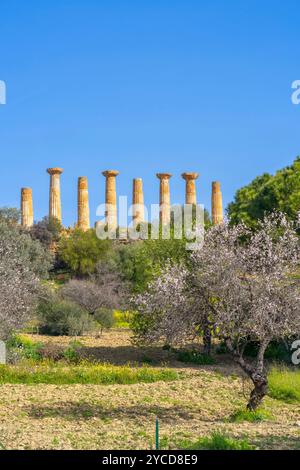 Valley of the Temples, Agrigento, Sizilien, Italien Stockfoto