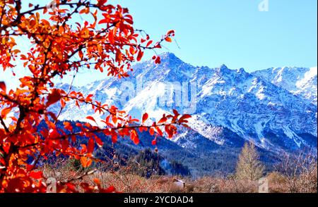 ZHANGYE, CHINA - 22. OKTOBER 2024 - Blick auf die Qilian Berge nach Schnee in Zhangye Stadt, Provinz Gansu, China, 22. Oktober 2024. Stockfoto