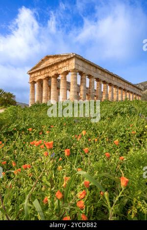 Dorischer Tempel, Segesta, Calatafimi, Trapani, Sizilien, Italien Stockfoto