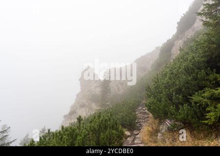 Der Wanderweg verschwindet in dickem Nebel mit Wolken über die Bergrücken und grünen Hängen. Konzept der Outdoor-Erkundung, Abenteuer-Trekking Stockfoto