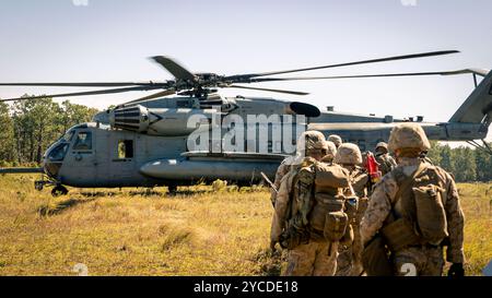 U.S. Marines mit 2. Bataillon, 10. Marine Regiment, 2. Marine Division besteigen einen CH-53E Super Hengst mit 464. Marine Heavy Helicopter Squadron, 29. Marine Aircraft Group, 2. Marine Aircraft Wing während der Übung Rolling Thunder auf Fort Liberty, North Carolina, 10. Oktober 2024. Bei dieser Feuerartillerieübung wurden die Kommandos- und Kontrollfunktionen, indirekte Feuerunterstützung, Gegenfeueroperationen und Sensoroperationen in einer simulierten Küstenumgebung gegen eine zukünftige Bedrohung getestet. (Foto des U.S. Marine Corps von Lance CPL. Frank Sepulveda Torres) Stockfoto