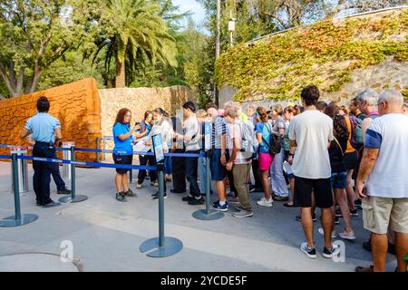 Übertourismus, Massentourismus, die Krone von Touristen wartet in der Schlange am Eingang Enrada Carmel, um Parc Güell, Barcelona, Spanien, Europa zu besuchen Stockfoto