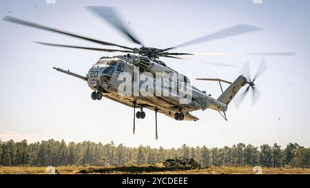 Ein Super-Hengst des U.S. Marine Corps CH-53E mit 464th Marine Heavy Helicopter Squadron, 29th Marine Aircraft Group, 2d Marine Aircraft Wing landet während der Übung Rolling Thunder auf Fort Liberty, North Carolina, 10. Oktober 2024. Bei dieser Feuerartillerieübung wurden die Kommandos- und Kontrollfunktionen, indirekte Feuerunterstützung, Gegenfeueroperationen und Sensoroperationen in einer simulierten Küstenumgebung gegen eine zukünftige Bedrohung getestet. (Foto des U.S. Marine Corps von Lance CPL. Frank Sepulveda Torres) Stockfoto